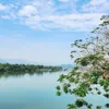 nguyenngpbl182