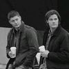 winchester_77