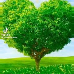 iftin.ahmed1