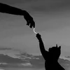 moon_22914