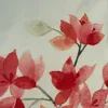 Emimi