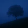 lost.in.time599