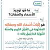 didihmed2