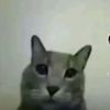 el_mas_negro39