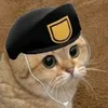 dixi_ira
