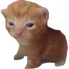 huanaplasaba_