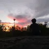 rotaniwk3pd