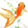 somthingfishy.ohy