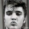 elvisilove2