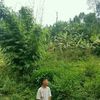 bipin.newar5