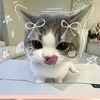 chinchilla4525