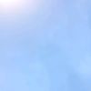 lisa_07777777