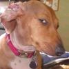 itismykutta