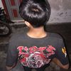 bulus610