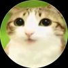 user20850702210185