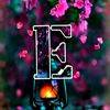 sk.kobir576