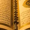 mustafa.popal8