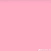 pp.pink018