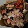 softie.bloom6