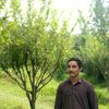 shahzeb.khan2975