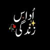 kiran.fatima639