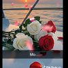wathaq.sal7