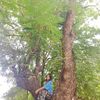 chan.myae.khin13