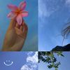 ilhaan.omar83