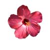 idy_0033
