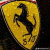 skyfall1369
