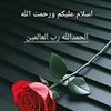pindaaly_345