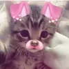 ganijr11