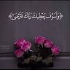 user87209508742737
