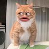cnyh_lndh
