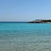 biotybella