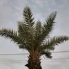 _yusef_m
