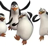 6freinds0