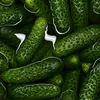 zwiedlyogor123
