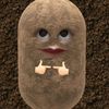 luchococip2