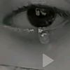 my.love.sabarin