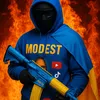 modest_in_tiktok