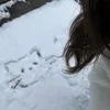 nowliks2