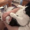 kateryna.shapoval96