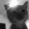 ngyennhii_10