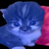 caspa_zac