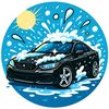 cars.cleaning1
