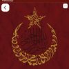 t_erenkorkmaz