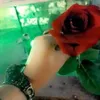 dildar.ezd