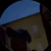 shemsys1