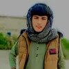 khalidshinwari274